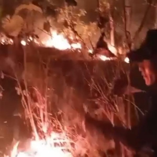 Kebakaran Hutan di Ciamis, 2,5 Hektar Lahan Terbakar