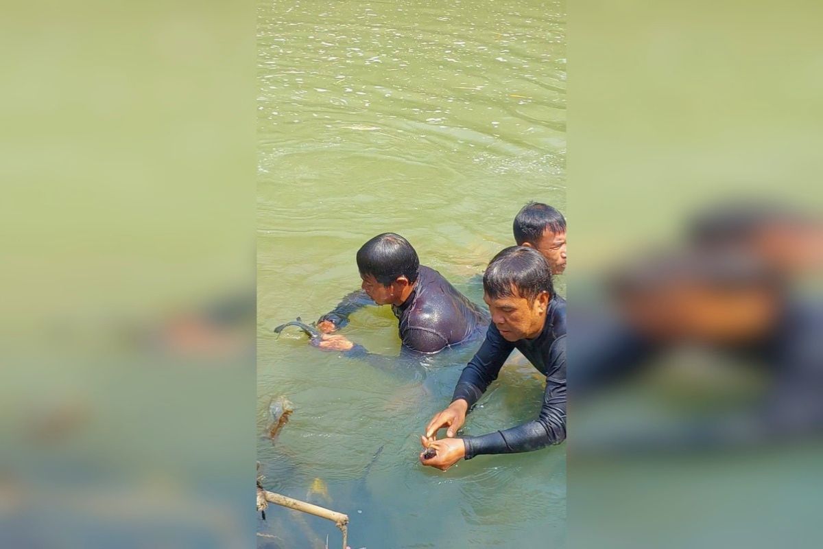 Warga bersama komunitas lintar dari berbagai daerah mengikuti tradisi ngalintas dan ngobyak ikan di Sungai Citanduy, Blok Leuwi Kopo, Desa Cijulang, Cihaurbeuti, Ciamis, Senin (10/8/2026). Shotlist.id/Foto: YT