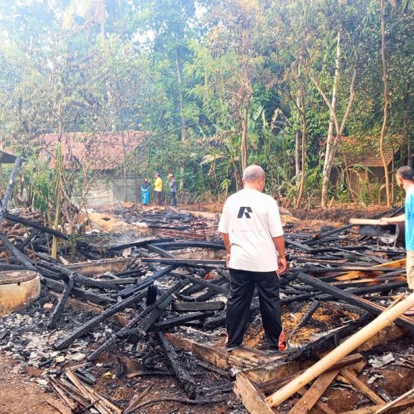 Kandang Ayam di Lumbung Ciamis Terbakar, 4.000 Ekor Ayam Hangus