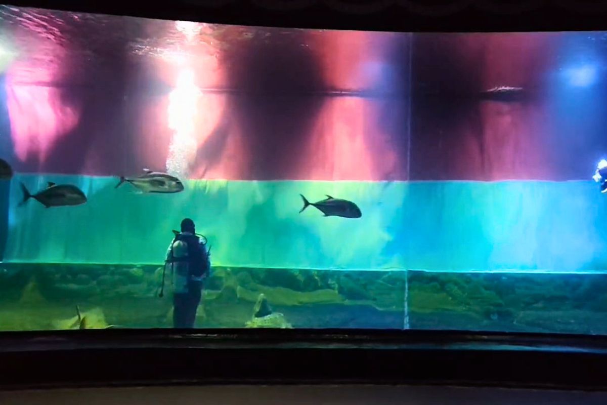 Bendera Merah Putih raksasa berukuran 12 x 3,2 meter membentang di Aquarium Indonesia Pangandaran dalam rangka menyambut HUT ke-81 Kemerdekaan RI. Shotlist.id/Foto: YT