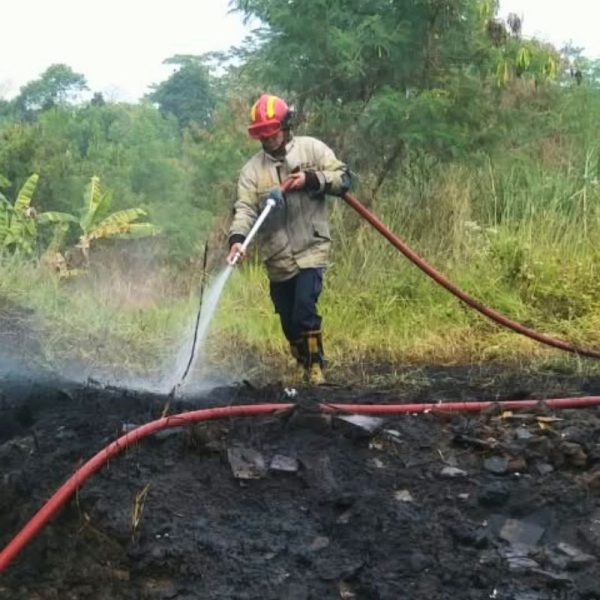 Ilalang Kering di Imbanagara Ciamis Terbakar, Diduga Dipicu Pembakaran Sampah