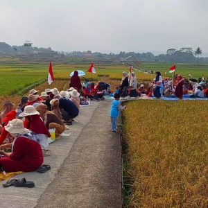 Ribuan Warga Cijulang Ciamis Botram di Tengah Sawah, Rawat Tradisi dan Syukuri Ketahanan Pangan