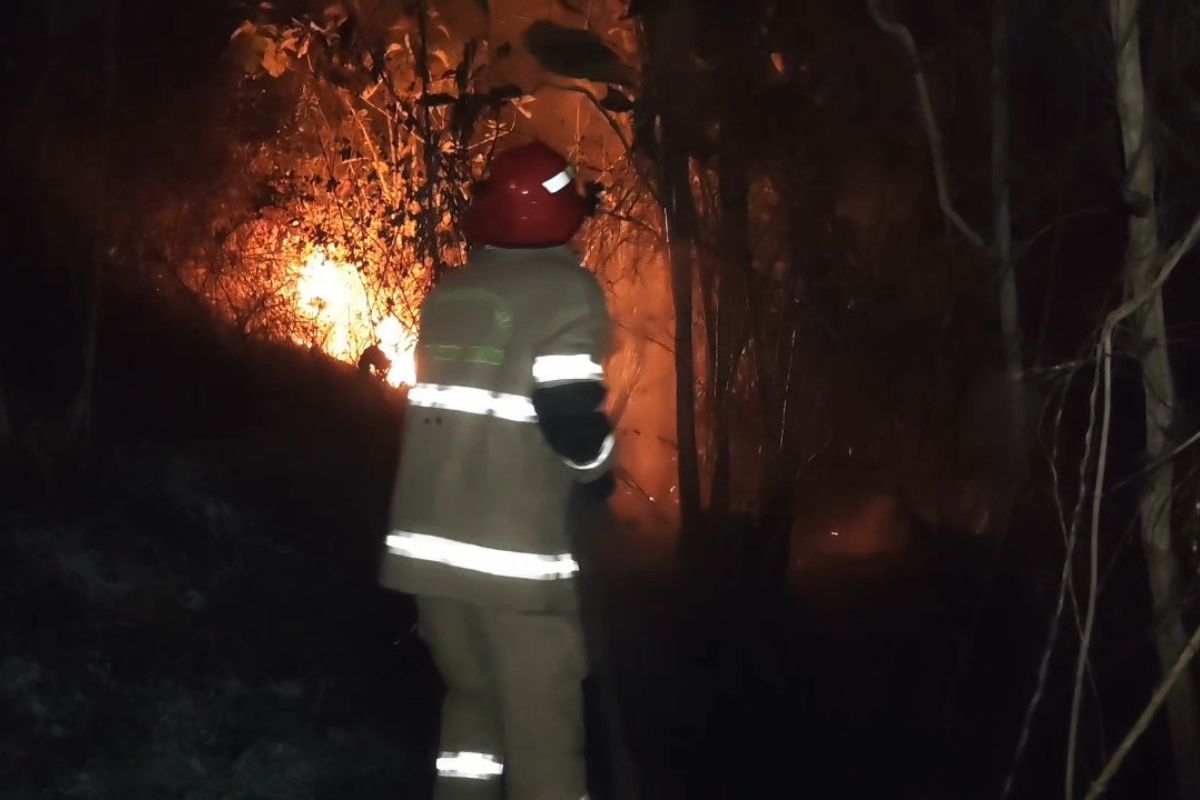 Petugas pemadam kebakaran berjibaku memadamkan kebakaran yang melanda lahan perkebunan di Blok Karangmulya dan Kedungwuluh, Desa Karangmulya, Kecamatan Padaherang, Pangandaran, Kamis (20/8/2026). Shotlist.id/Foto: YT