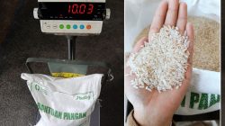 Jatah Juli-September Dibagikan Sekaligus, Bulog Ciamis Salurkan 6.133 Ton Beras