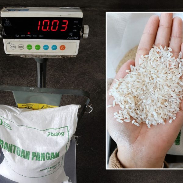 Jatah Juli-September Dibagikan Sekaligus, Bulog Ciamis Salurkan 6.133 Ton Beras